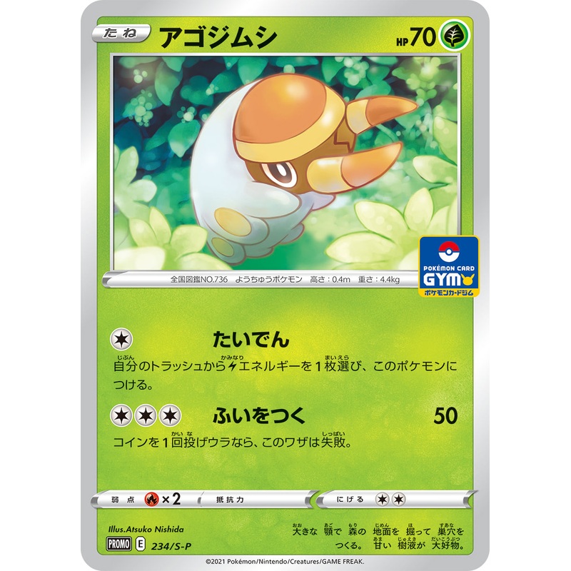Pokmon Card Game PROMO 234/S-P