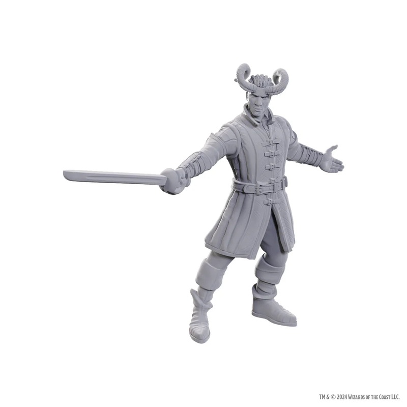 D&D Nolzur’s Marvelous Unpainted Minis: Baldur’s Gate 3 – Will & Karlach (Special Edition)