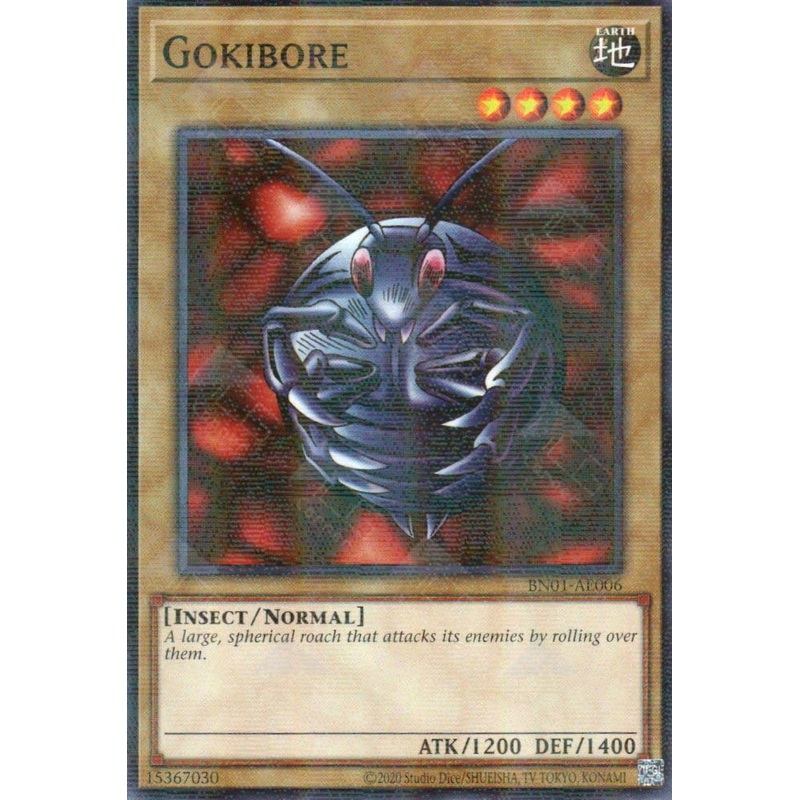 BN01-AE006 Gokibore (P-N) single