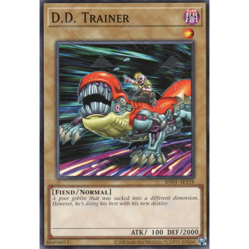 BN01-AE118 D.D. Trainer (N) single