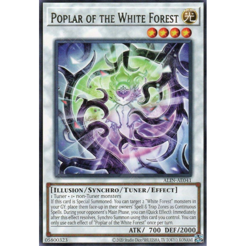 ALIN-AE041 Poplar of the White Forest (R) Single