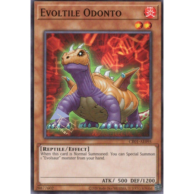 CR01-AE095 Evoltile Odonto (N) Single